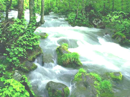 橡胶胶黏剂