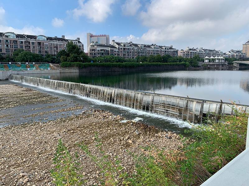 Chairman Chen Erfan Participated in Liaoning International Rubber Technology Exchange Festival as a Specially Invited Expert.