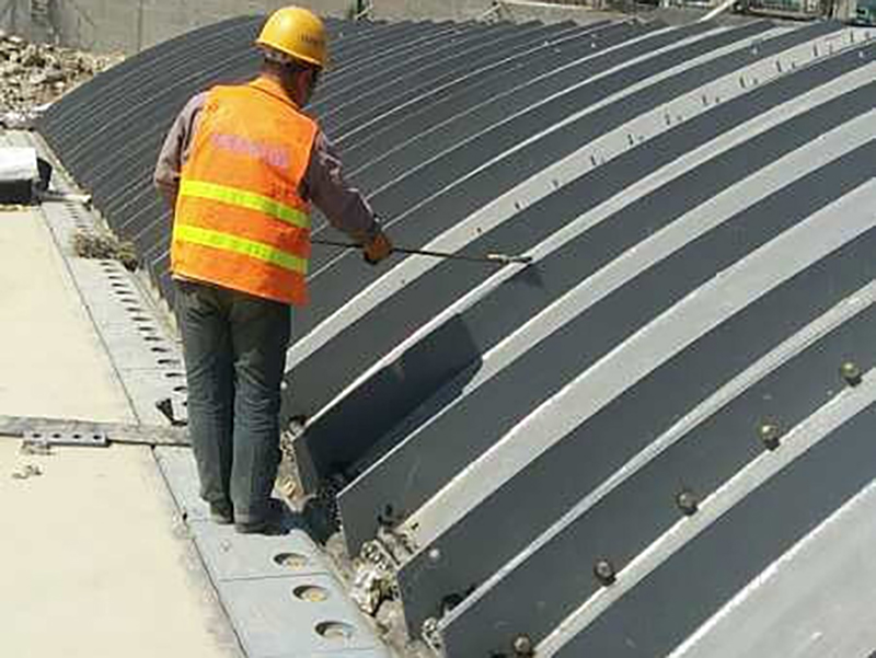 Chairman Chen Erfan Participated in Liaoning International Rubber Technology Exchange Festival as a Specially Invited Expert.