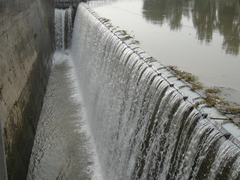 Chairman Chen Erfan Participated in Liaoning International Rubber Technology Exchange Festival as a Specially Invited Expert.