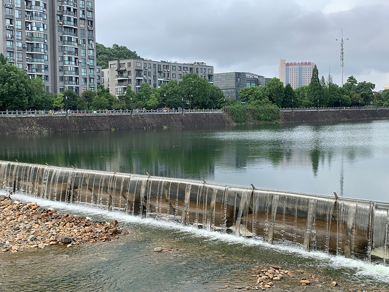 Chairman Chen Erfan Participated in Liaoning International Rubber Technology Exchange Festival as a Specially Invited Expert.
