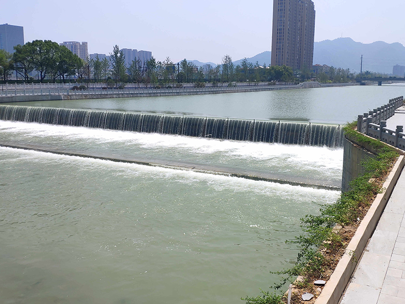 Chairman Chen Erfan Participated in Liaoning International Rubber Technology Exchange Festival as a Specially Invited Expert.