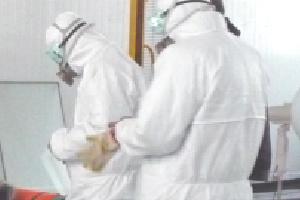 1768410383411131.jpg 01.jpg