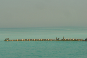 1768410776402667.jpg 002.jpg