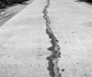 1768439553545768.jpg 033.jpg