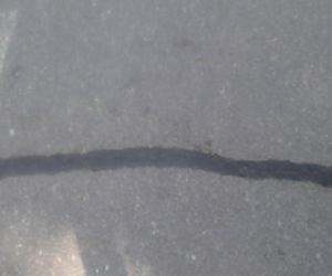 1768439572664721.jpg 066.jpg