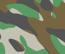 1768448635369852.jpg 033.jpg